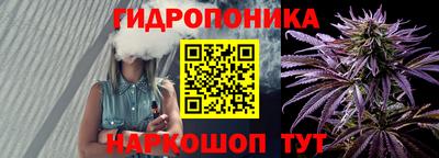 крисы Волжск