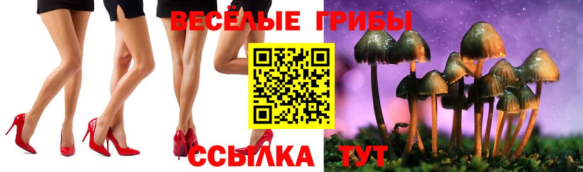 Псилоцибиновые грибы Psilocybine cubensis  где найти наркотики  Нефтекумск  Вход с VPN 